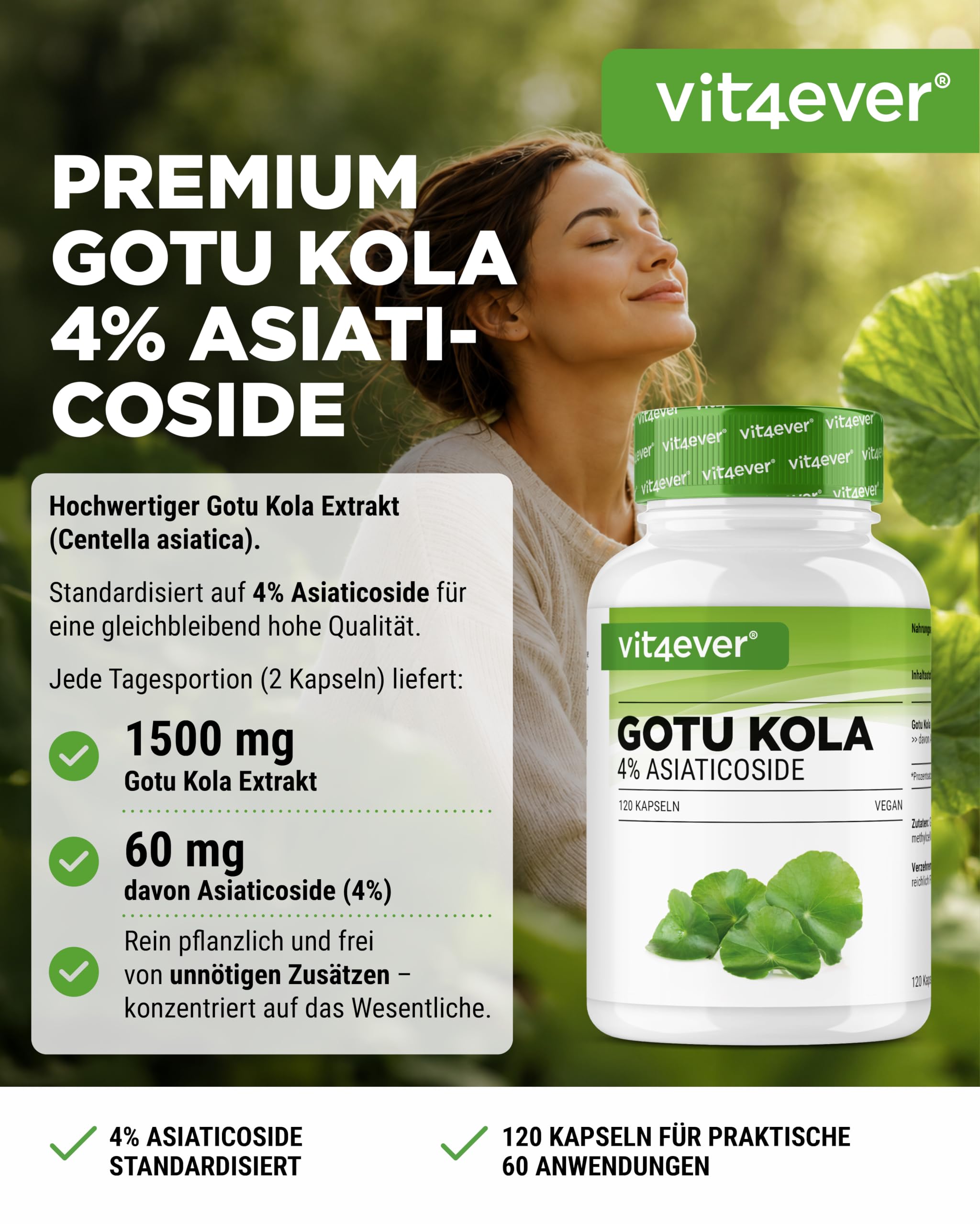 vit4ever Gotu Kola Extrakt - 120 vegane Kapseln | 1500 mg Centella asiatica Extrakt pro Tagesdosis, Standardisiert auf 4% Asiaticoside, Laborgeprüft, Hochdosiert