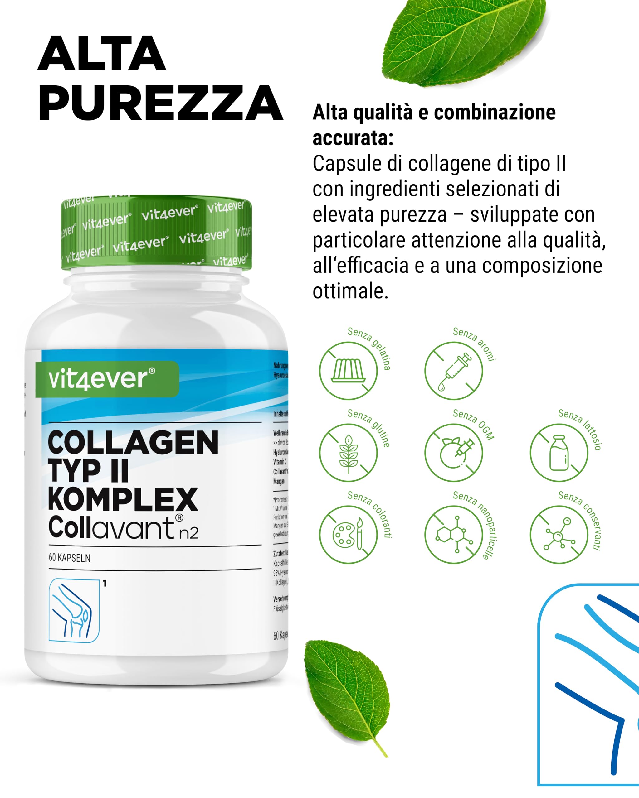Complesso Collagene di tipo II - con collagene nativo Collavant n2®, estratto di incenso, acido ialuronico, vitamina C, manganese per ossa, cartilagini e articolazioni