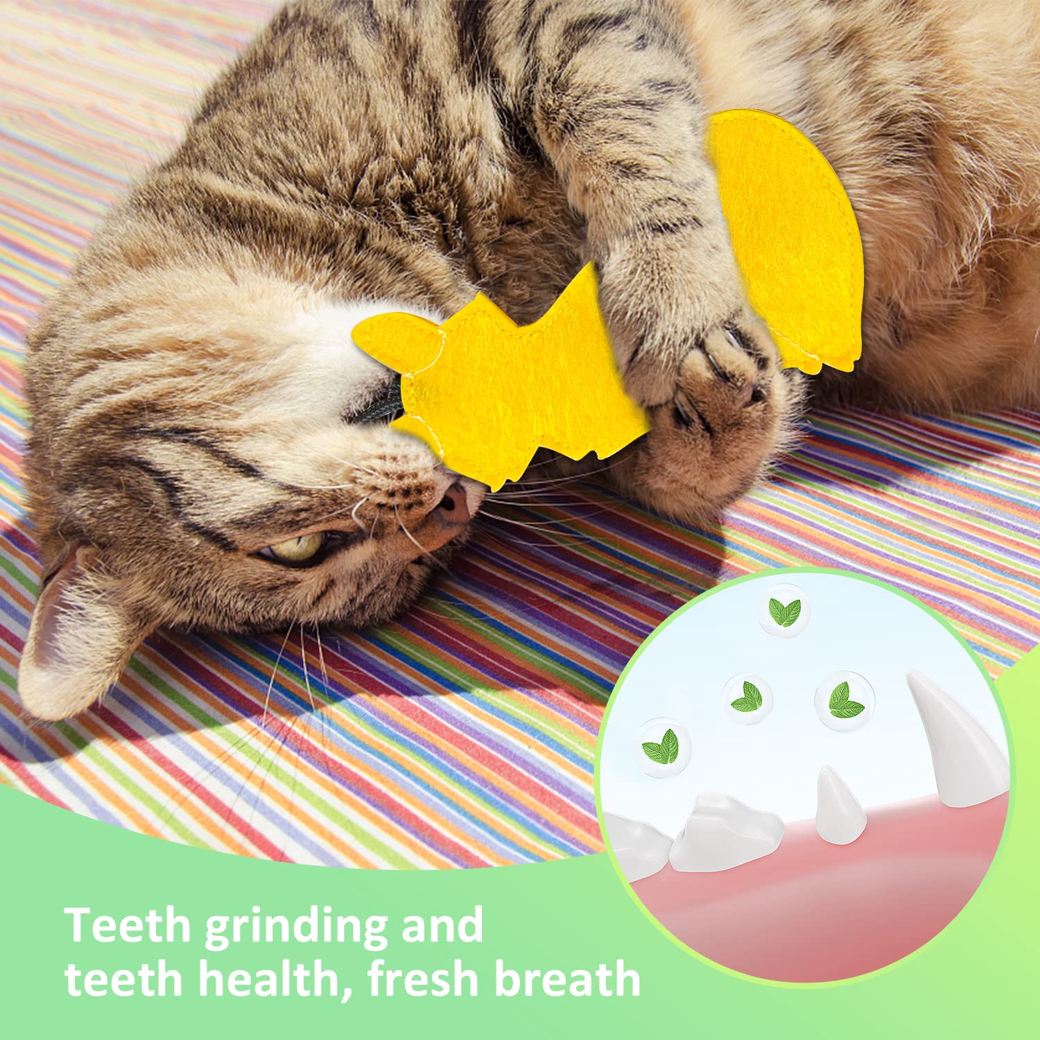 Questi Sono I Migliori Giochi Per Gatti Con Erba Gatta, Provare Per - Foto 6