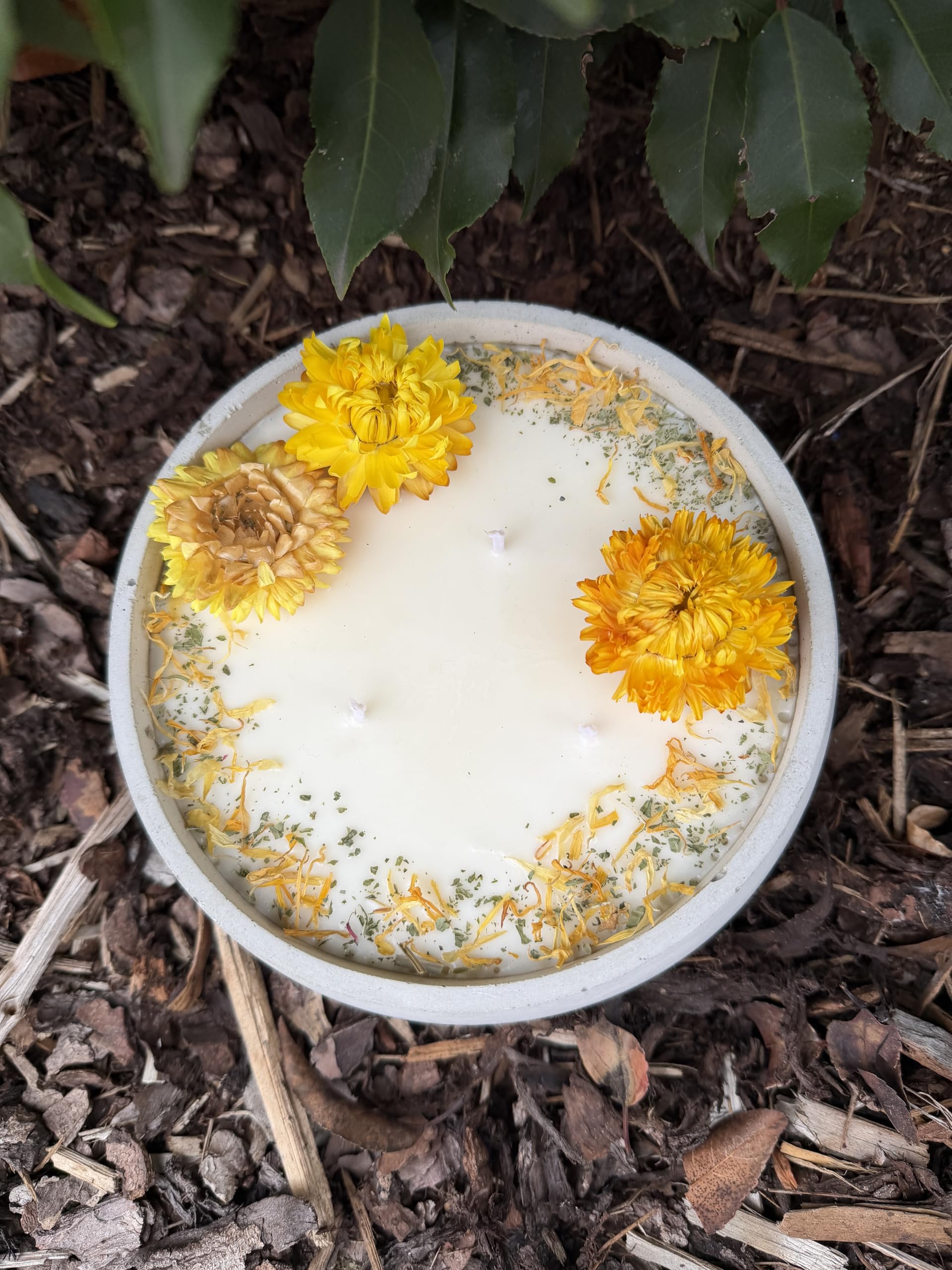 XL Betonkerze Big Sunshine, Citronella, Ø 18cm | Handgegossen, 3-Docht Sojawachs, Mit echten gelben Blüten, Vegan & Nachhaltig, Made in Germany