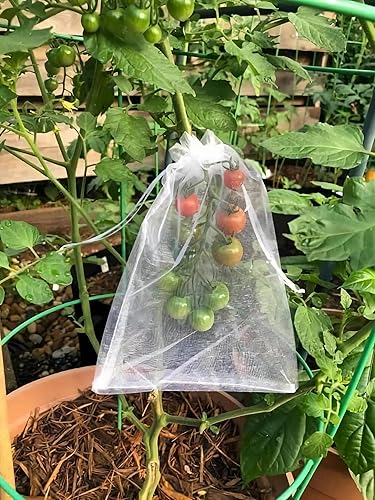 Miniatura 7 de YunKo 50 bolsas de organza de 6 x 9 pulgadas, bolsas de regalo de malla, bolsas de regalo de organza transparente blanca para recuerdos de boda