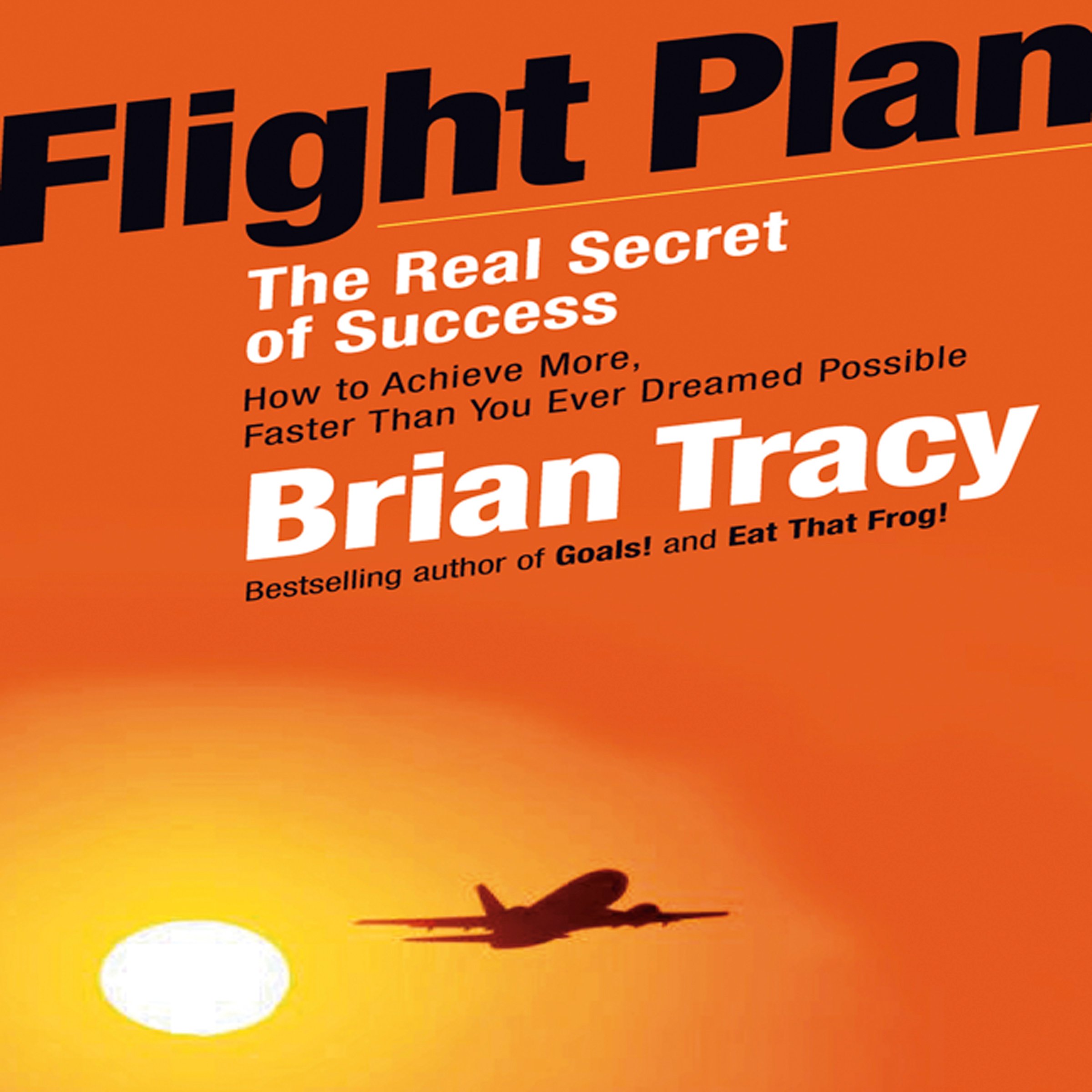 Cover art for Flight Plan