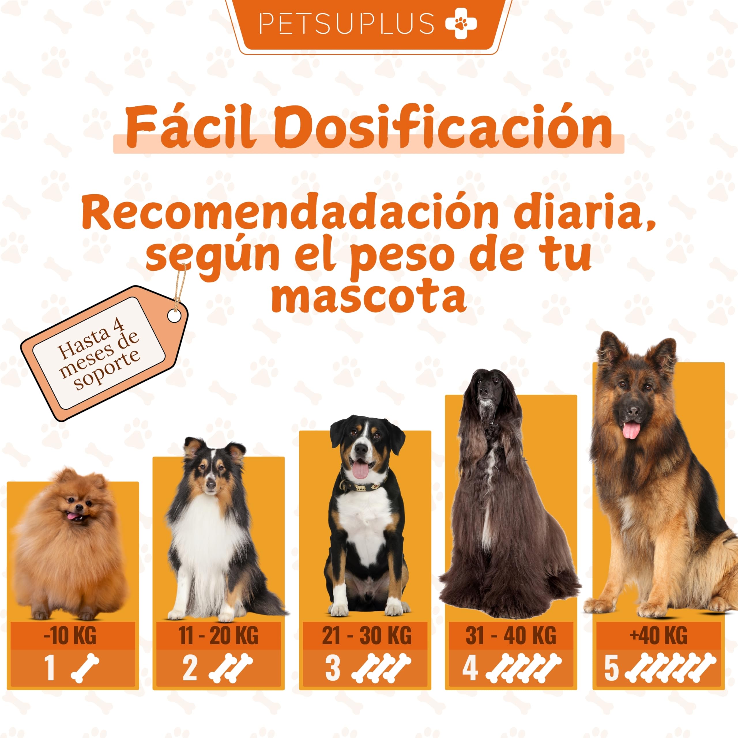Piel y Pelaje - Complemento Alimenticio con Aceite de Salmon y Omega 3. Favorece el Bienestar de Perros con Picazón, Piel Seca, Irritación, Caída del Pelo e Irritabilidad