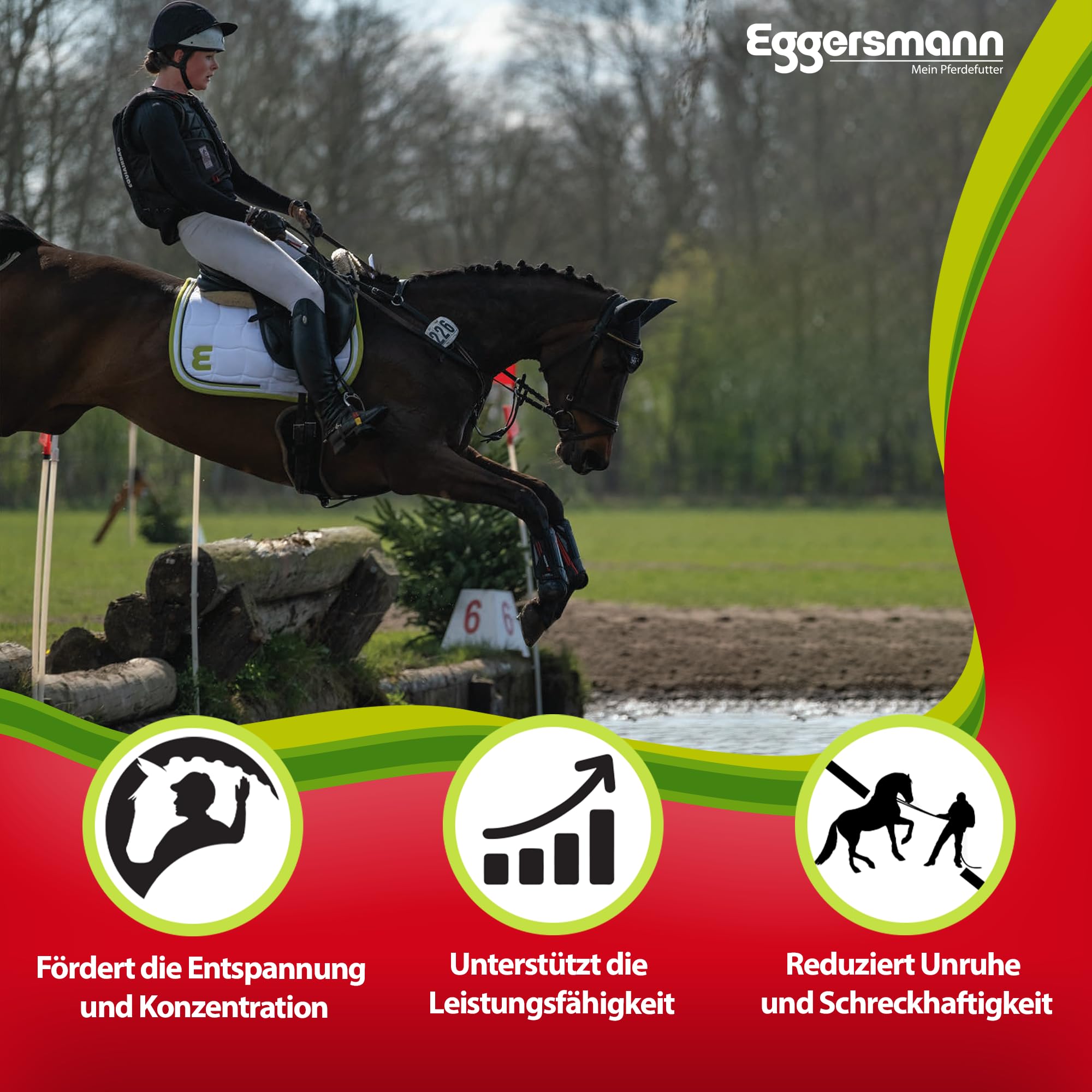 Eggersmann Profi Magnesium – pienso complementario para Caballos – para favorecer la Musculatura Suelta – Cubo de 4 kg