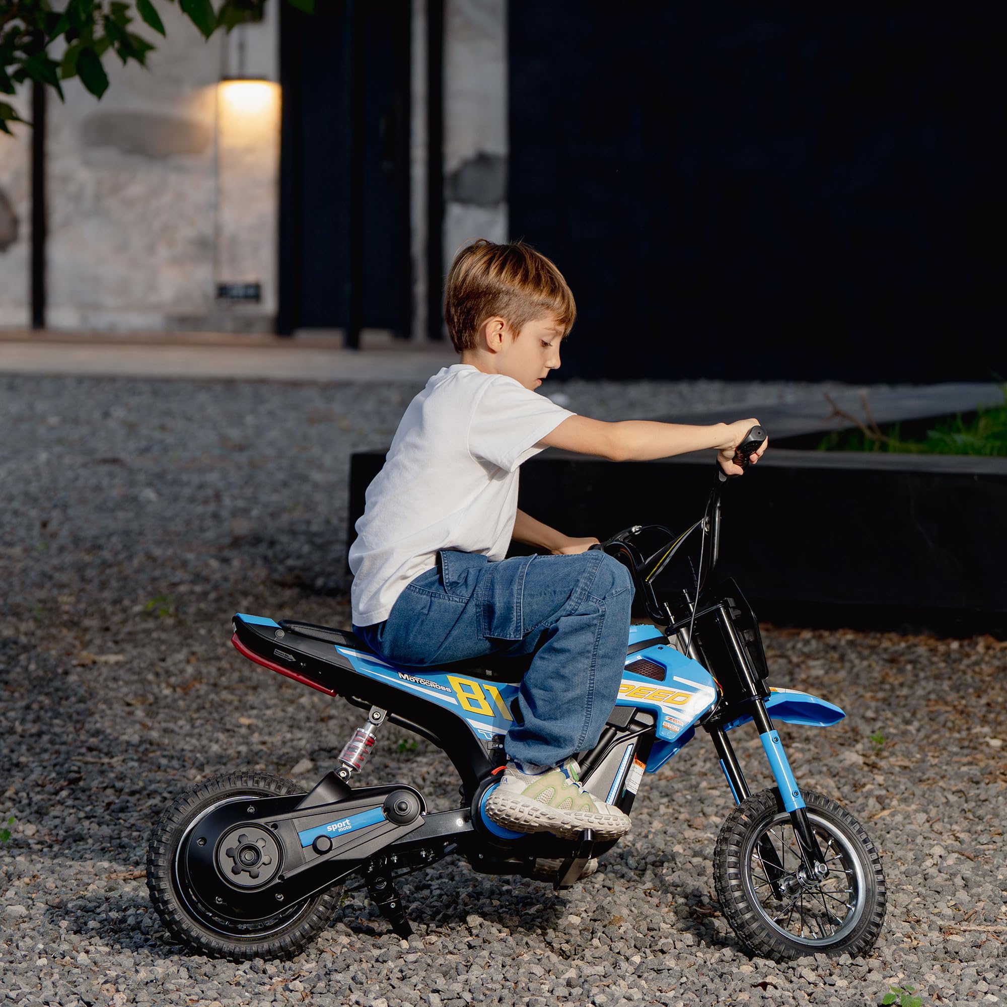 AIYAPLAY Moto Eléctrica para Niños 24V, Moto Eléctrica Infantil con Motor 250W, Velocidad de 6-16km/h, Ruedas de 12'' y Suspensión Trasera, para Niños de 8-12 Años, Azul