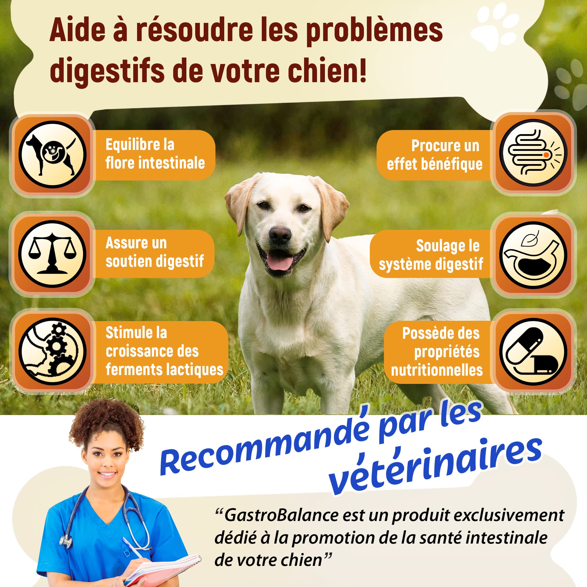 Traitement Chien probiotique – 60 croquettes Naturelles probiotique Flore intestinale Chien - Goût Bacon (Francais)