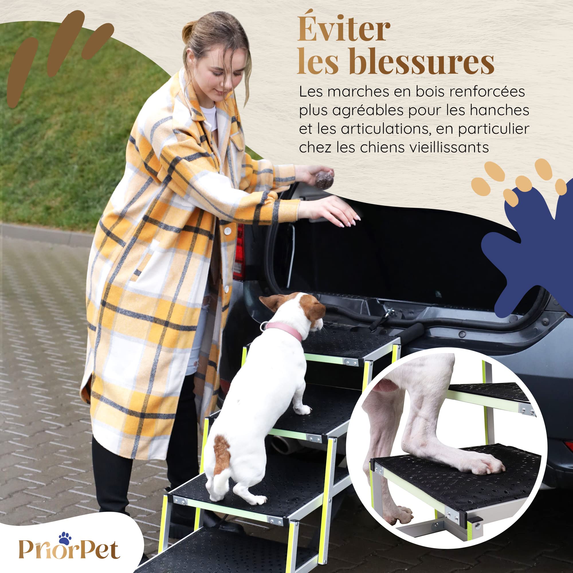 Escalier pour Chien Pliable Phosphorescent 77kg Rampe Voiture Antidérapante 4 Marches