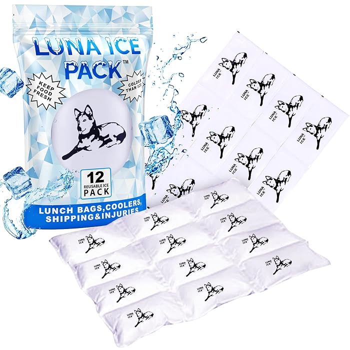 Buy Luna Ice Pack Dry IceDry ice for Shipping Frozen FoodBulk Ice