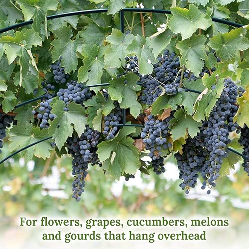 Miniatura 6 de Marco de arco de soporte de jardín grande de varios tamaños para plantas trepadoras para flores, frutas, verduras (9.8 x 7 x 7.2 pies)