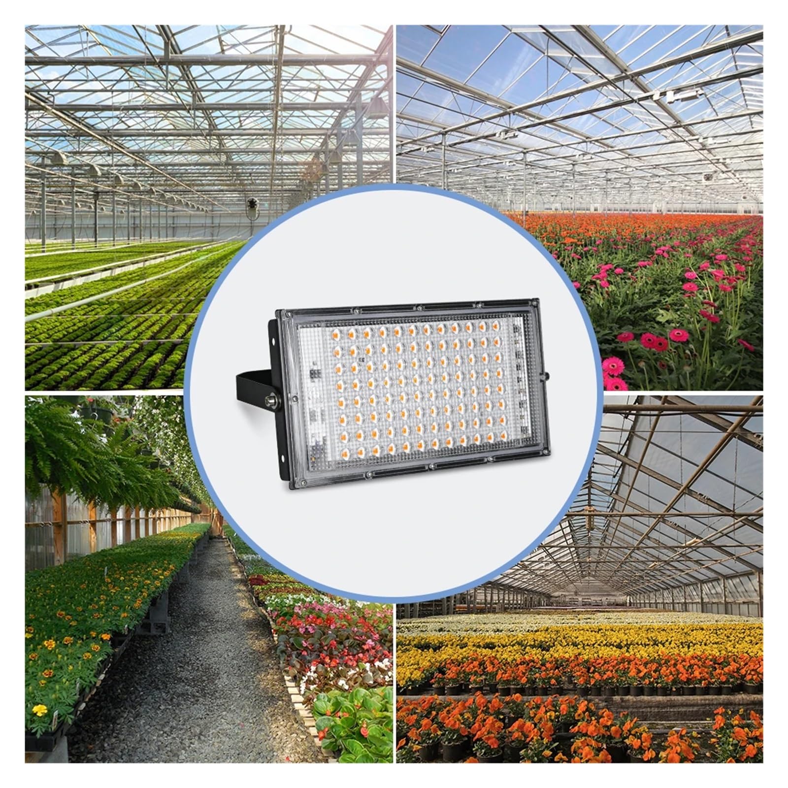 Lámpara de cultivo, Luz Led for cultivo de plantas, lámpara hidropónica de espectro completo, fitoamplificadores LED, luz for invernadero, semillas, iluminación for cultivo de flores, 50W, 100W(100W)