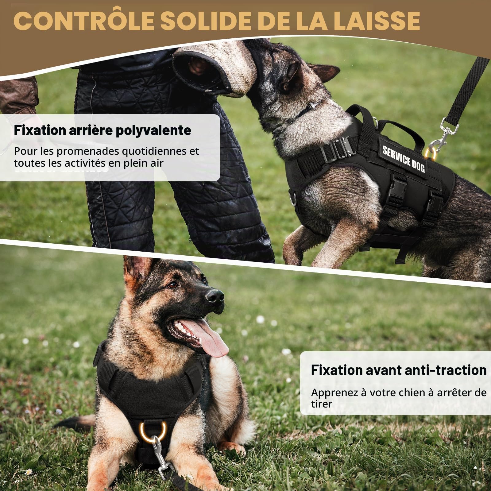 WINSEE - Harnais pour Chien d'assistance de Grande Taille, Gilet Tactique Molle avec 10 Patchs pour Animaux, Harnais Robuste Anti-Traction pour l'entraînement à la Marche