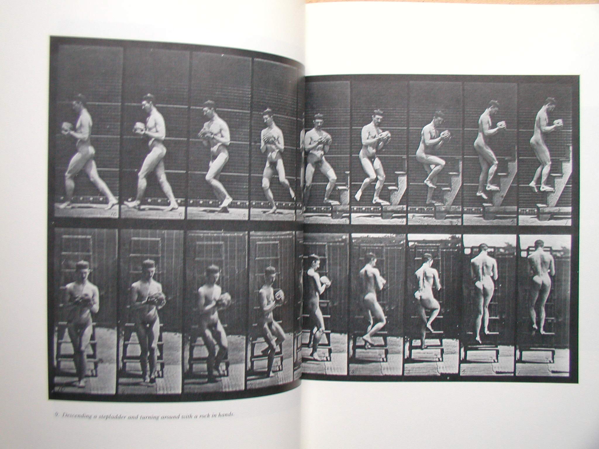 Amazon.co.jp: Eadweard Muybridge: 本、バイオグラフィー、最新