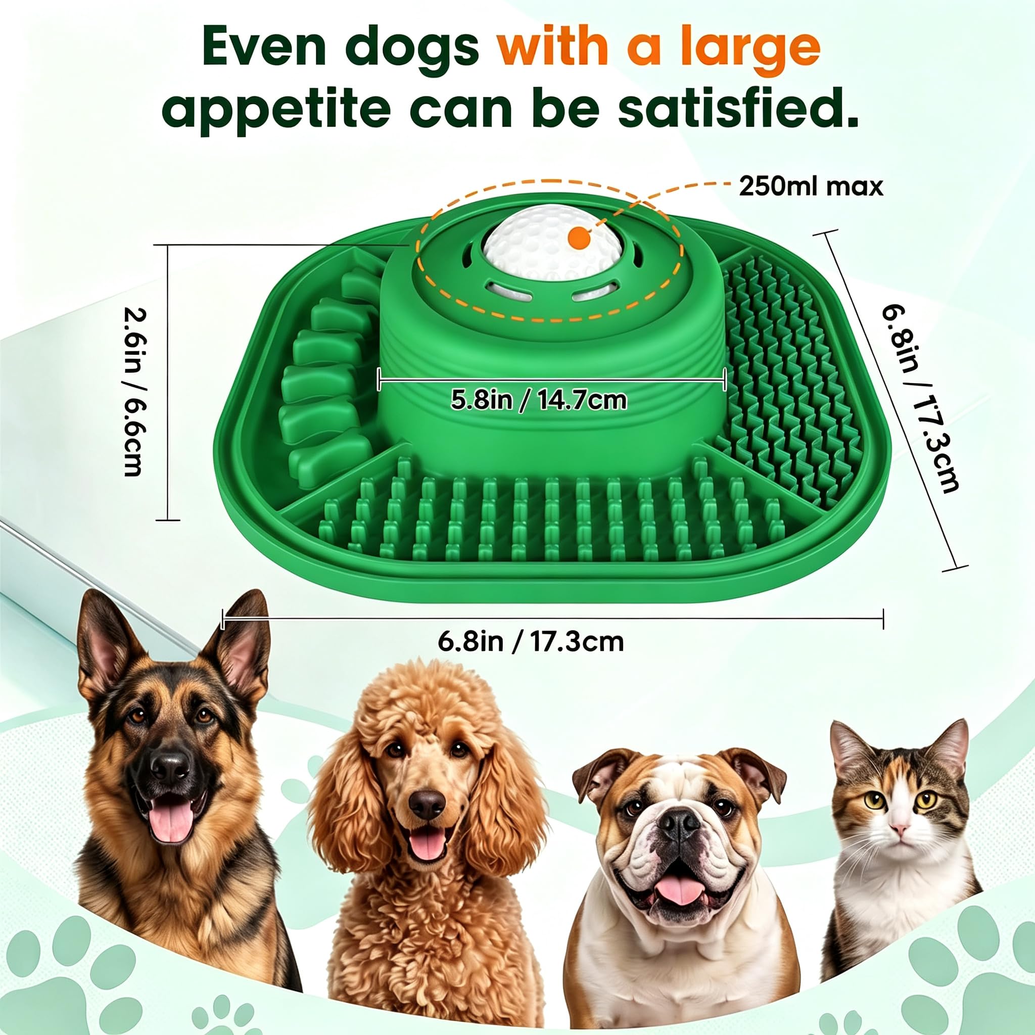 View 3
