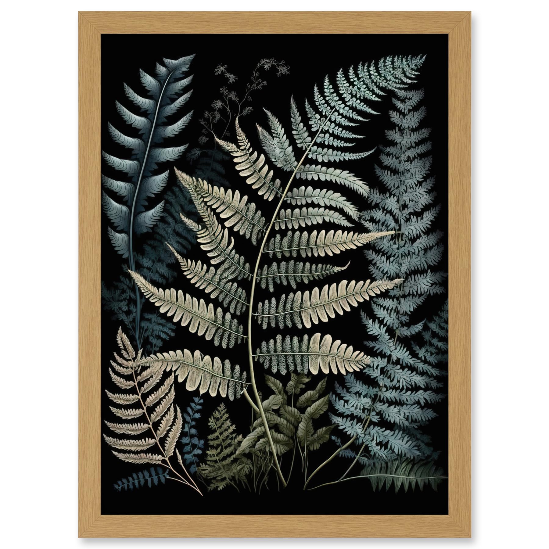 Artery8 Fern Frond Species Detailed Botanical Illustration Artwork Framed A3 Wall Art Print