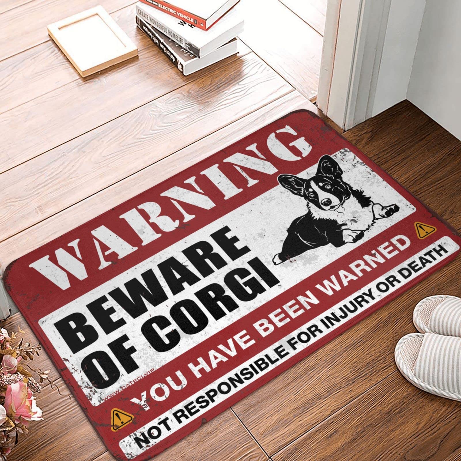Tapis herbe humide COTECI pour entree propre avec chien