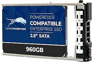 Enhanced Storage Performance for Dell PowerEdge Servers: 960GB SATA 6Gb/s SSD