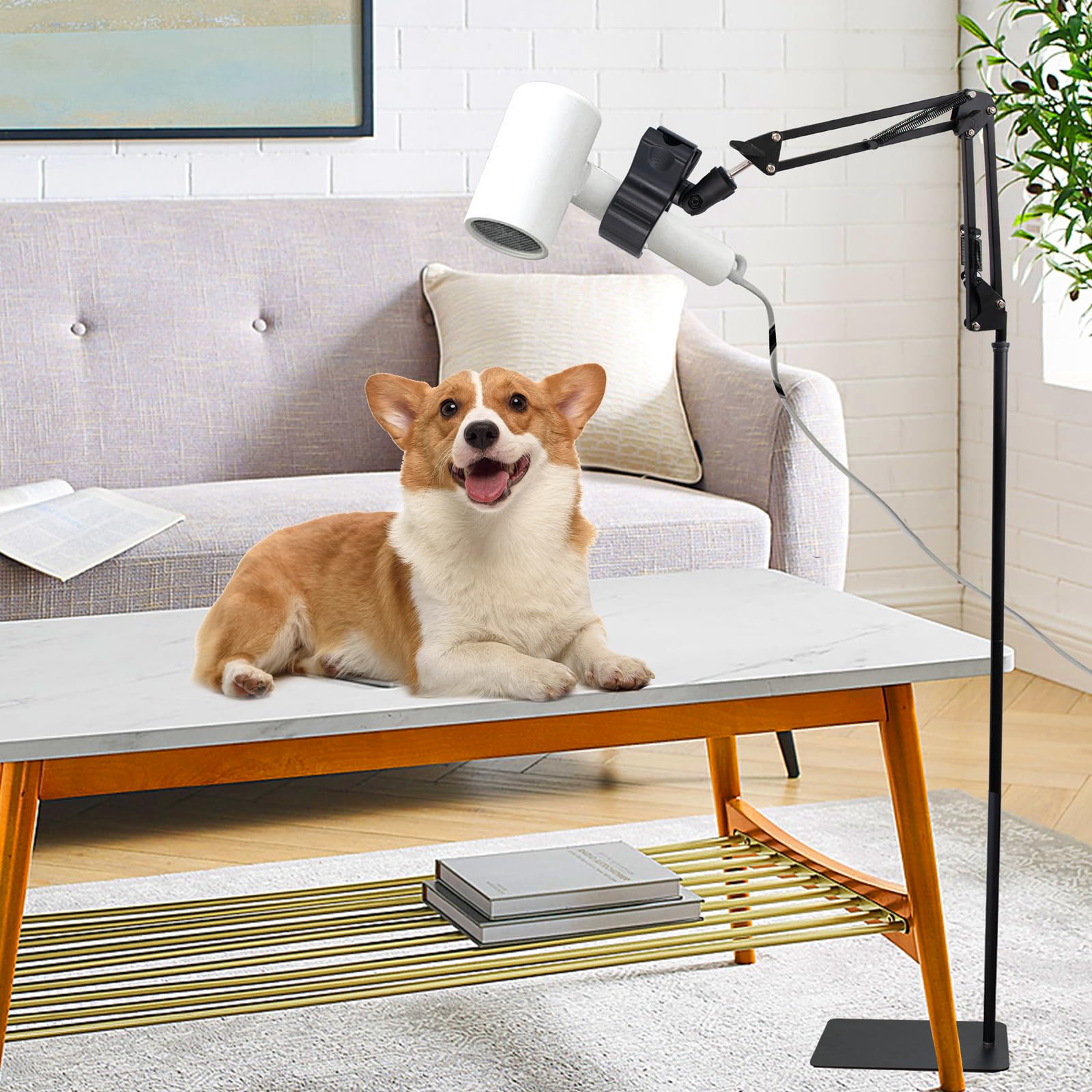 Porte-sèche-Cheveux sur Pied avec Base Lourde Réglable en Hauteur (1,75 m) et en Angle pour Salon à Domicile & Soins pour Chiens/Chats