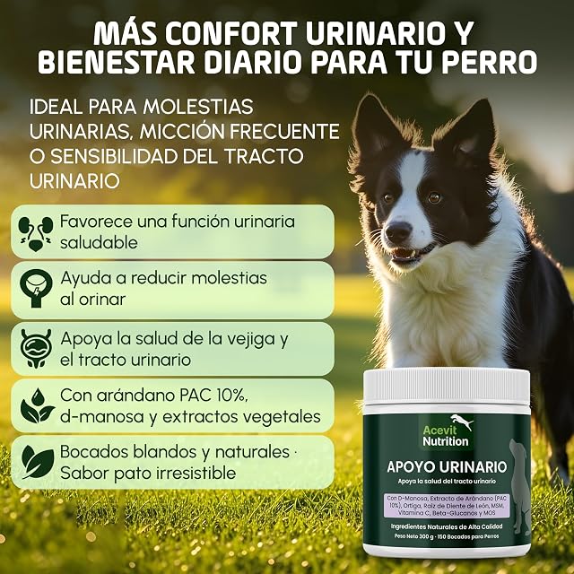 Foto 4 de 6 de Salud Urinaria Perros, 150 uds Natural, Apoyo del Tracto Urinario y la Vejiga, Ayuda a Reducir Molestias…