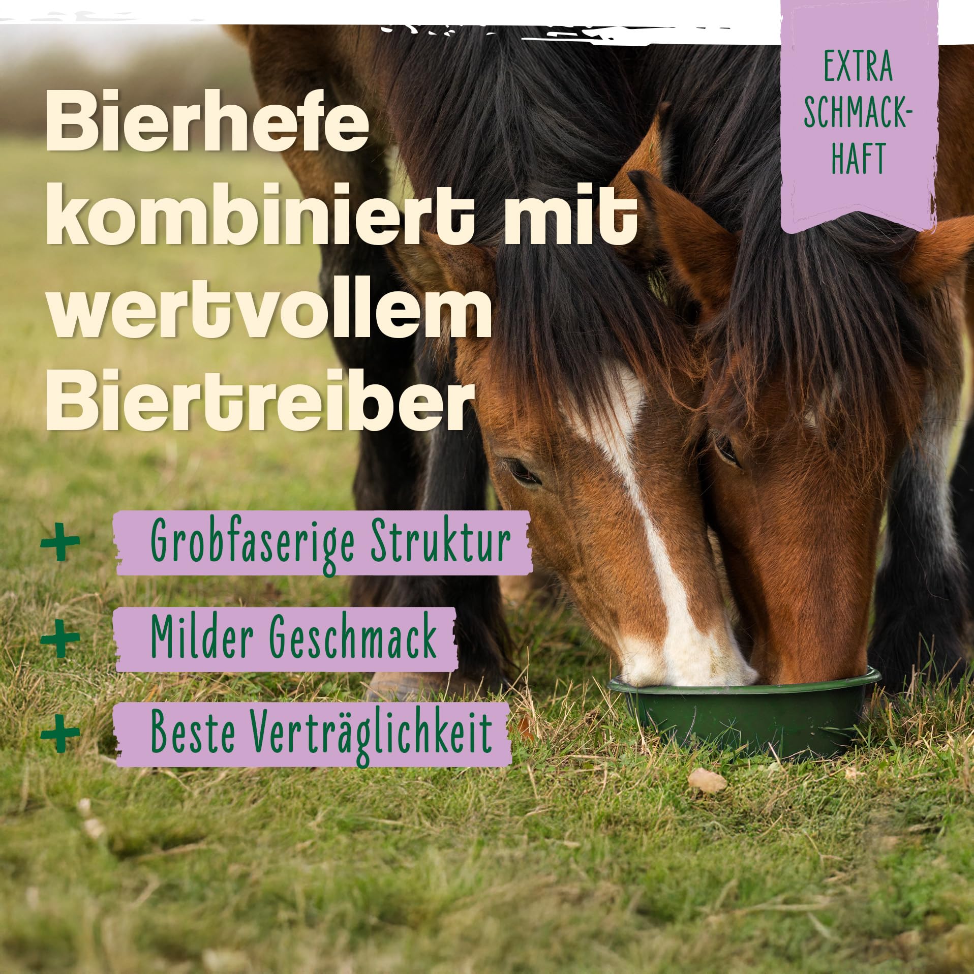 Ida Plus - Lievito di birra Bt – 6 kg – Integratore alimentare per cavalli e pony – per pelo lucido e pelle forte – supporta la digestione e la flora intestinale – ricco di vitamine del gruppo B,