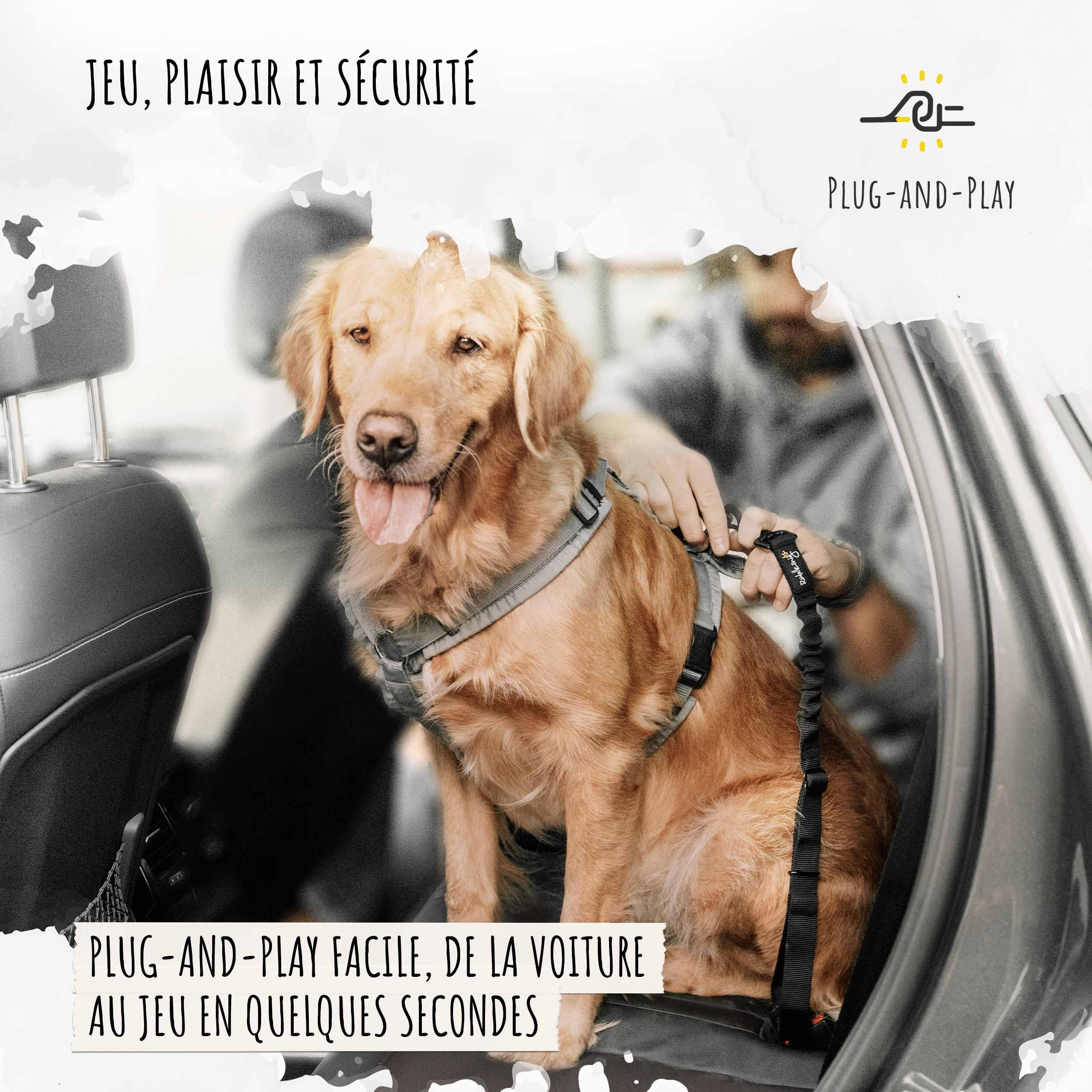 Rudelkönig Ceinture Chien Voiture - Réglable 60-80cm - Harnais Voiture - Ceinture sécurité - Ceinture Chien - Protection pour Toutes Les Races