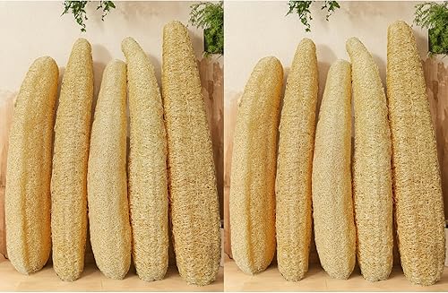 Natural Loofah Sponge 5-Pack | Body Scrubber 7-10 Inch(12.1 – 14 Inch)
