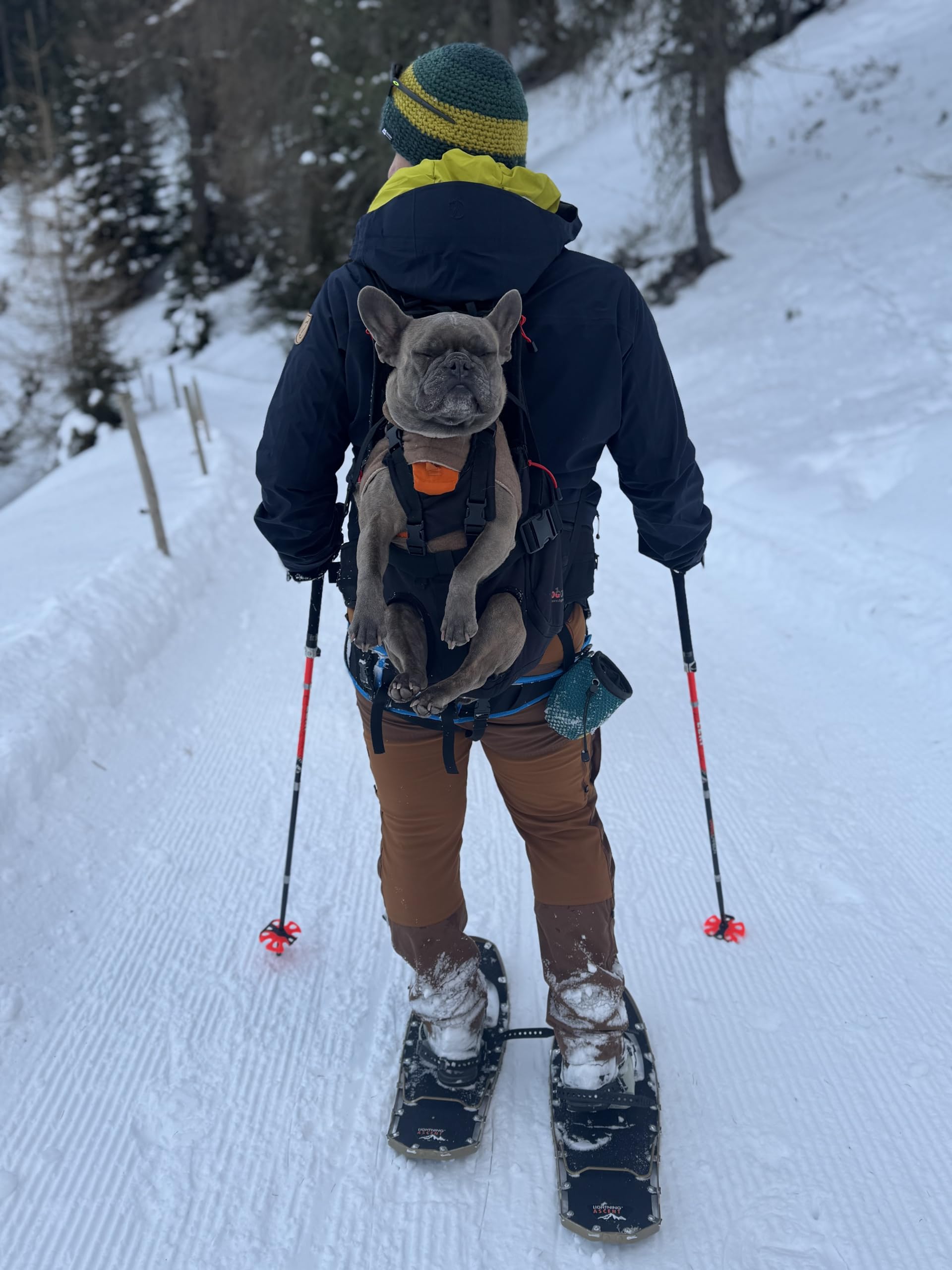 Patentierter Premium Leg Free Rucksack zum Tragen von Hunden Hunderucksack Hundetrage Hundetragerucksack für Hunde