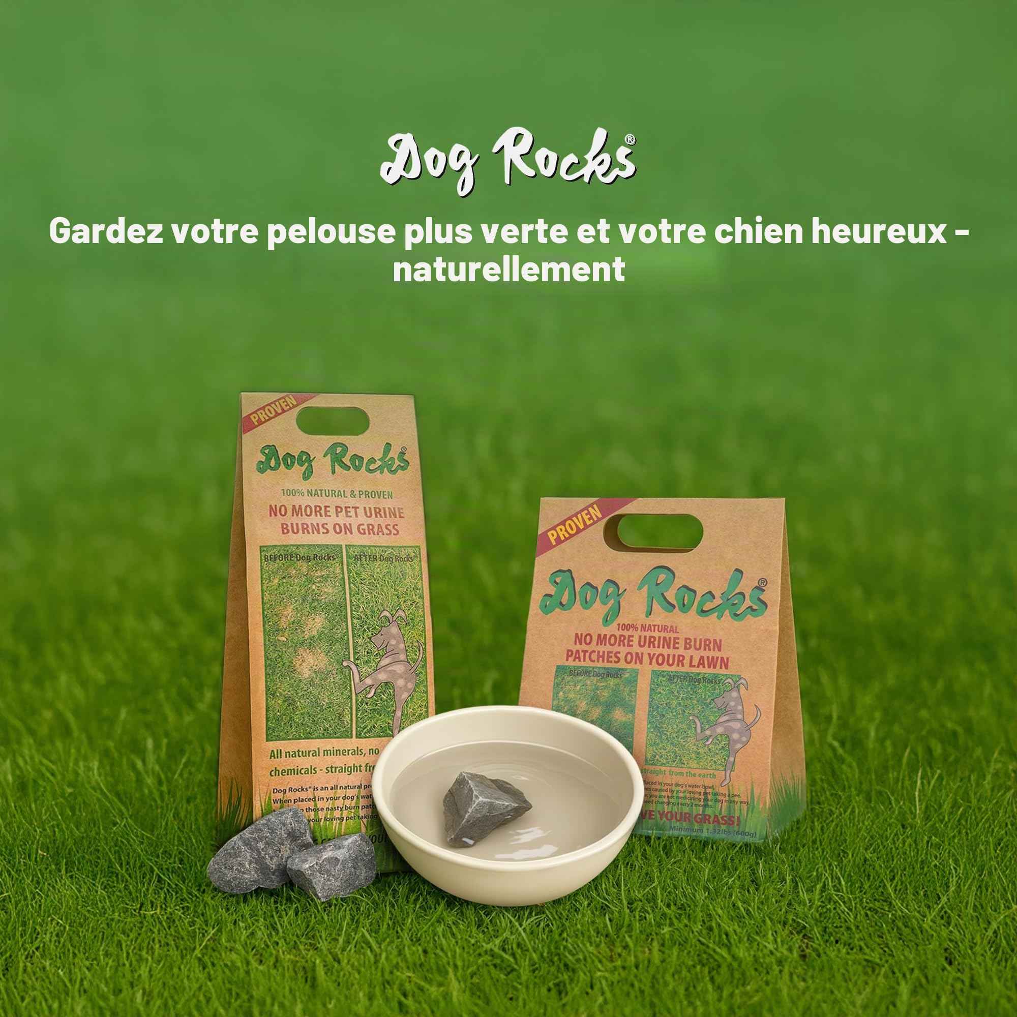 Dog Rocks Urvent Patch Patch Prévention 600g