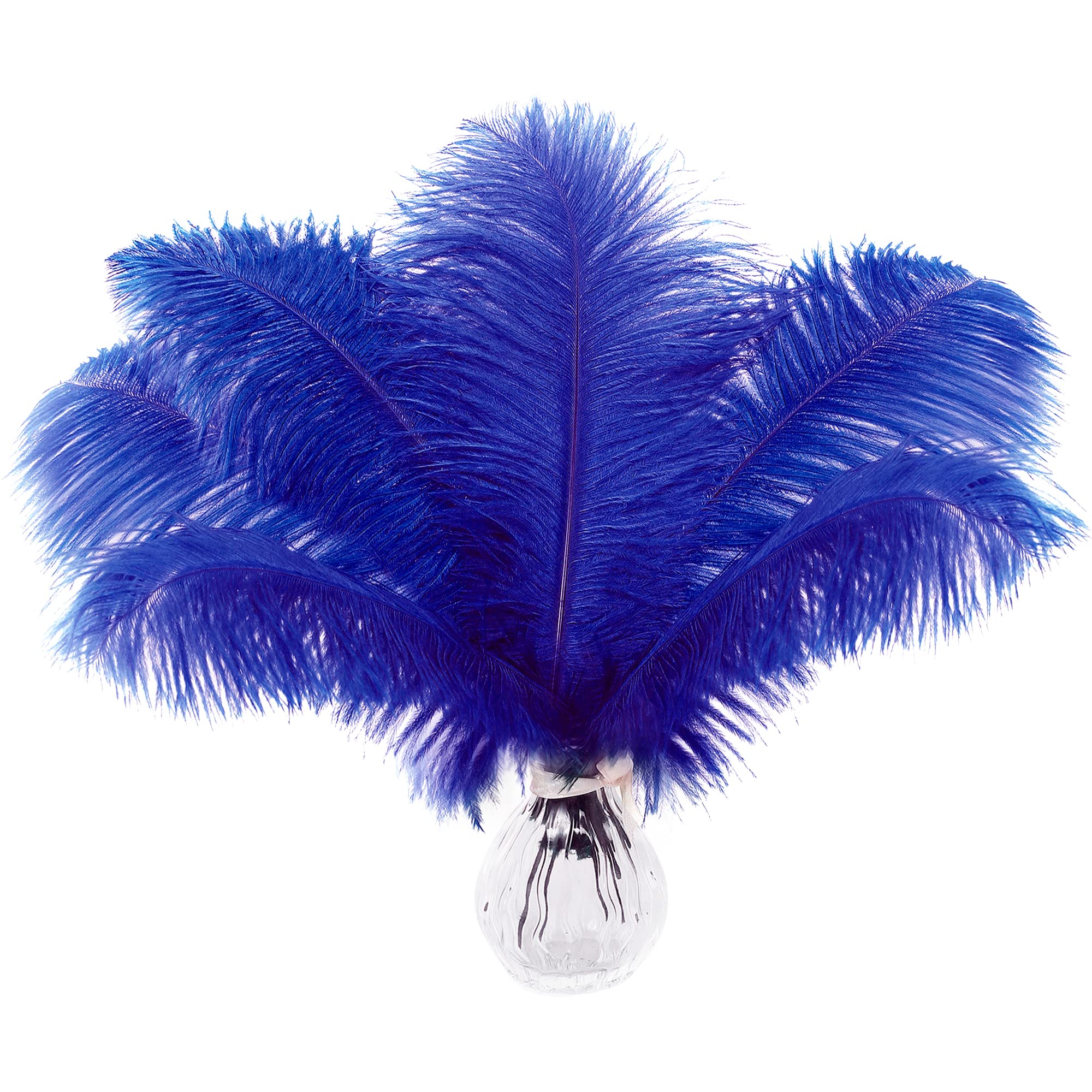 Plumes d'autruche mariage et centres de table de fête bleu royal