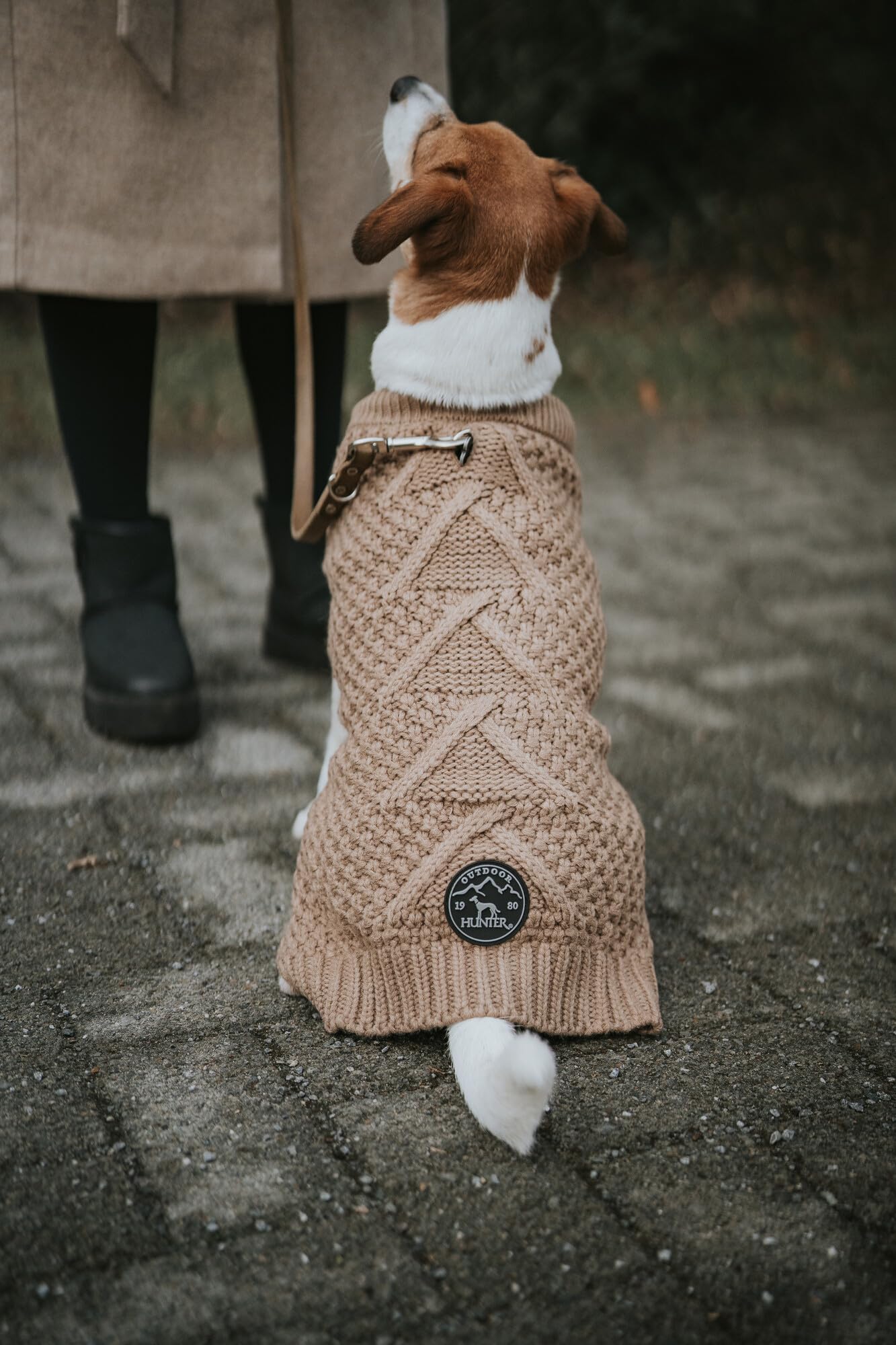 HUNTER Hundepullover MALMÖ, Farbe: beige, klassisches Zopfstrick-Muster, wärmend & bequem, elastisch für optimalen Sitz, reflektierend für mehr Sichtbarkeit, waschbar bei 30°C, Größe: 40