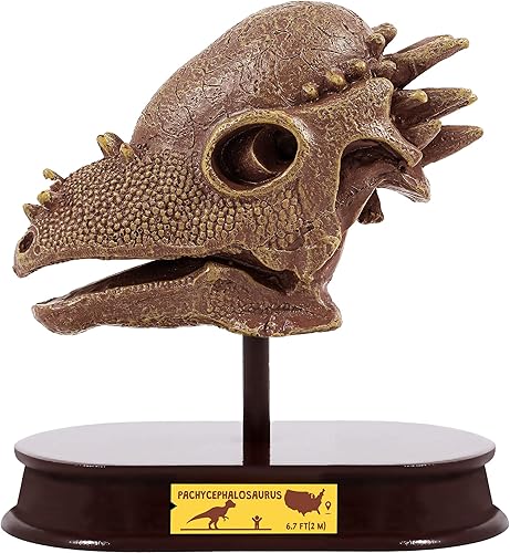 ArtCreativity Kit de excavación de dinosaurios para niños, juego de excavación de calavera de paquicefalosaurios de 5.5 pulgadas con herramientas de