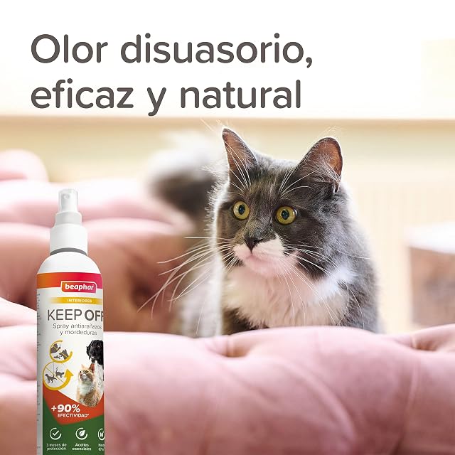 Foto 2 de 7 de Beaphar Keep Off - Spray Educador Gatos y Perros - Antiarañazos - antimordeduras - Frena los Malos hábitos