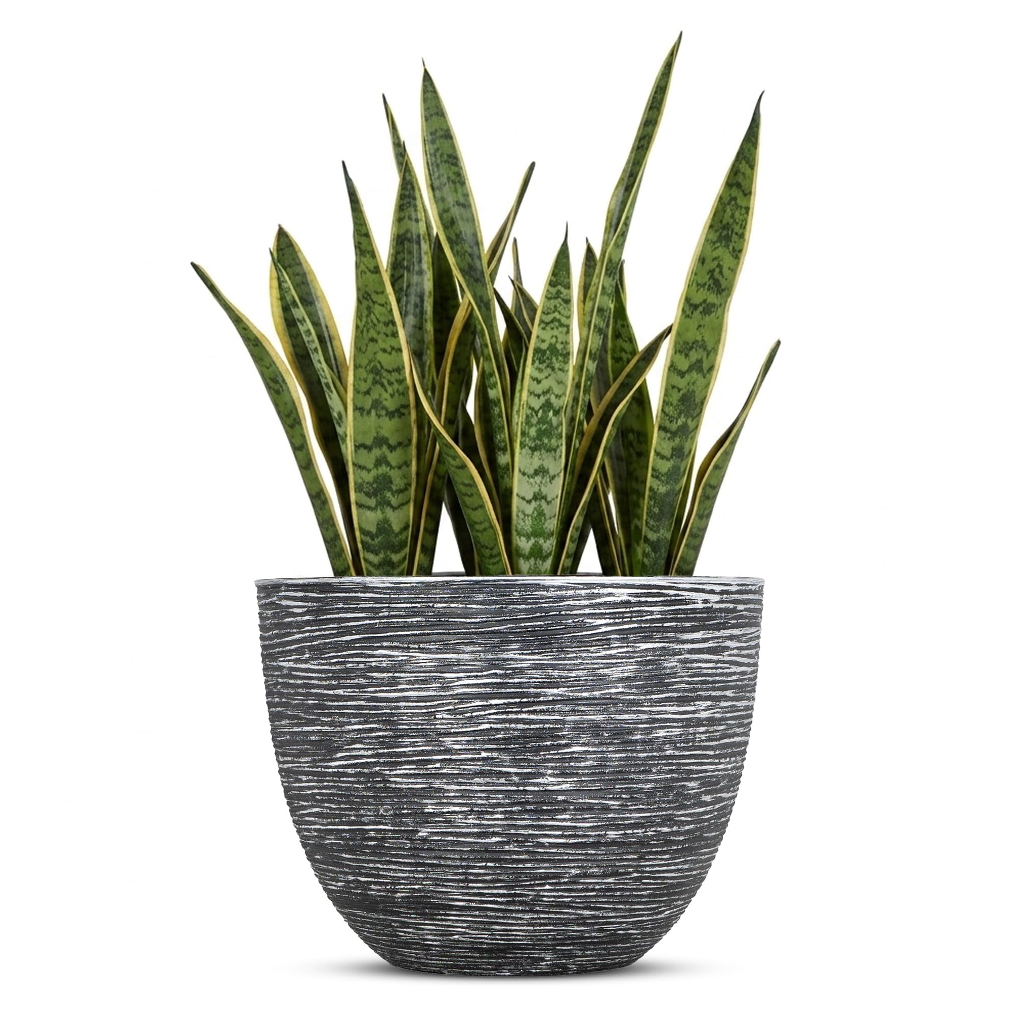 SG Traders Premium Plant Pots and Garden Planters Stylish Large Plant Pot Planter for Outdoor & gardens Use Durable Pots and Planters to Enhance Your Garden with Beautiful Planter(29cm)