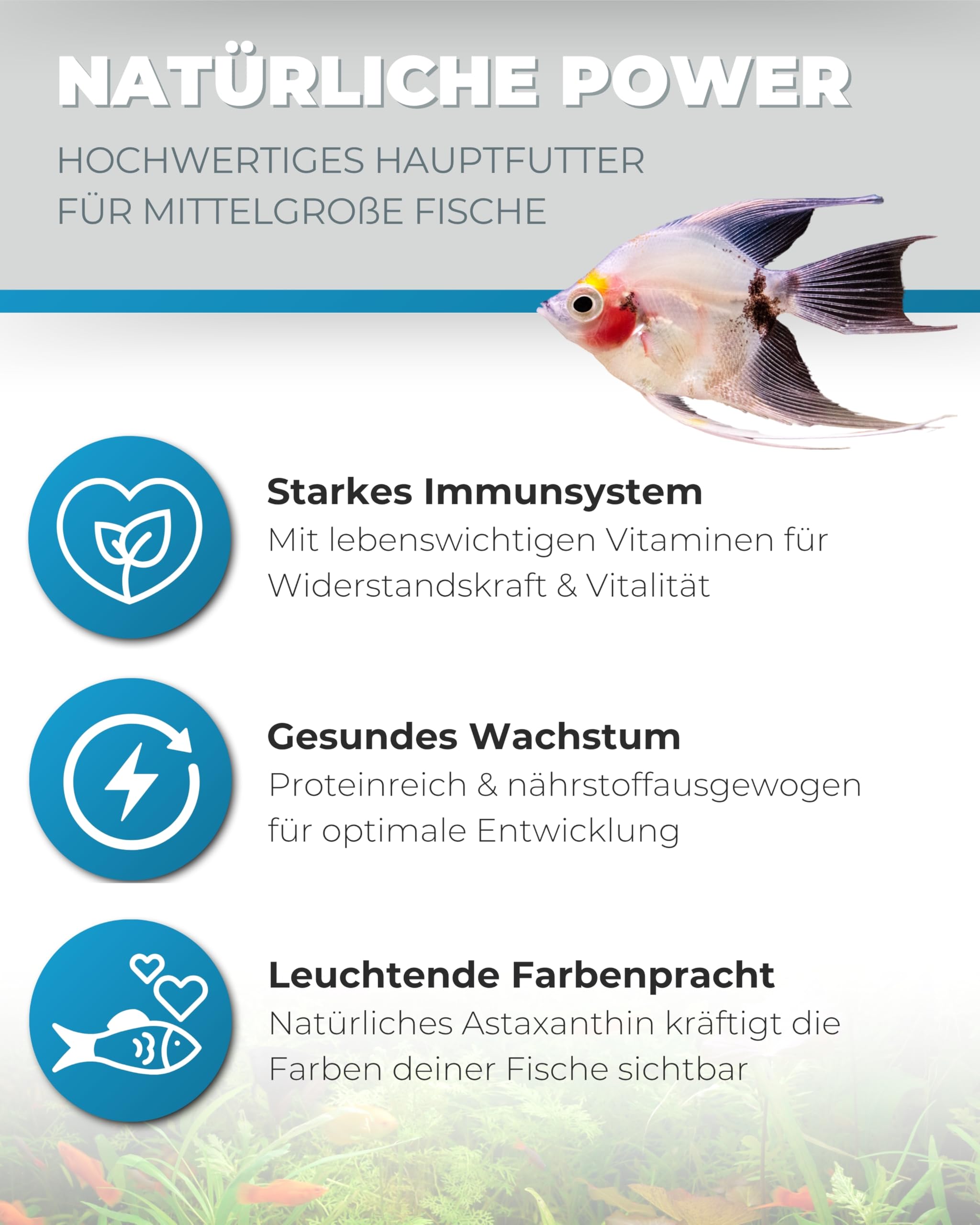Dupla DuplaRin Granulat M I 500 g I Premium-Granulatfutter für mittelgroße Süß- & Meerwasserfische I proteinreiches Zierfischfutter I gutes Wachstum & Intensive Farben I nährstoffreiches Fischfutter