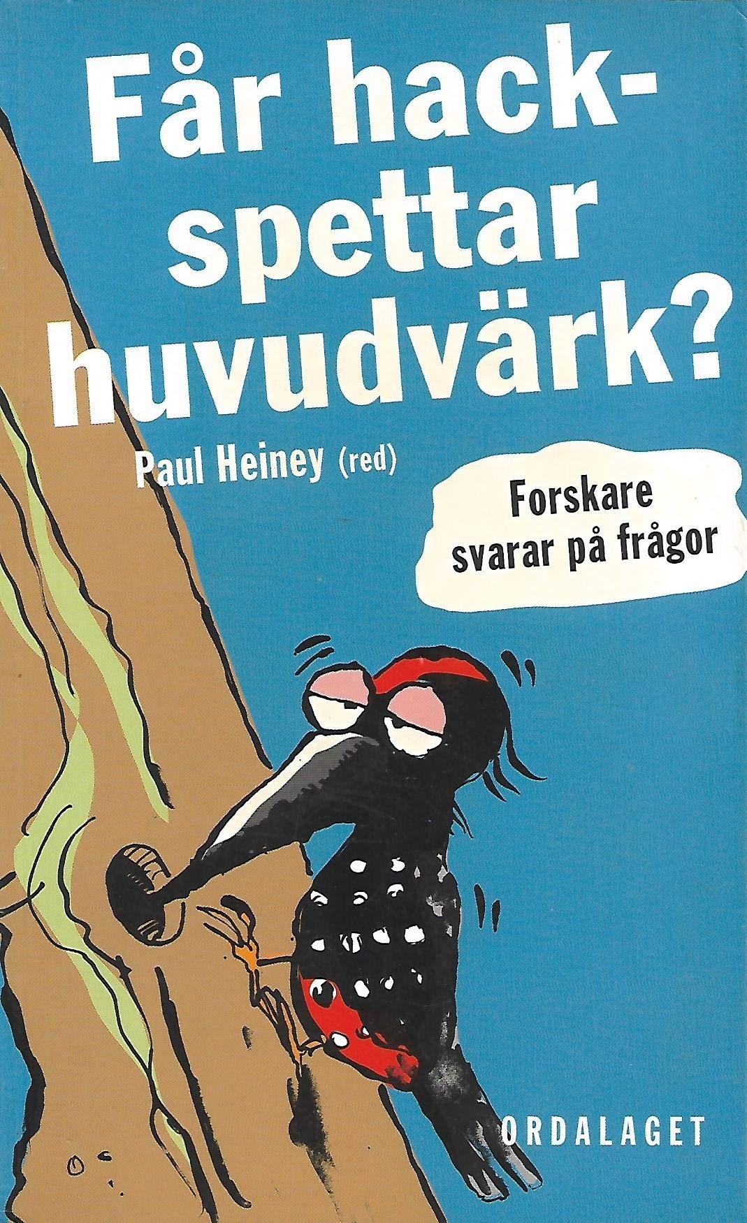 Får hackspettar huvudvärk?