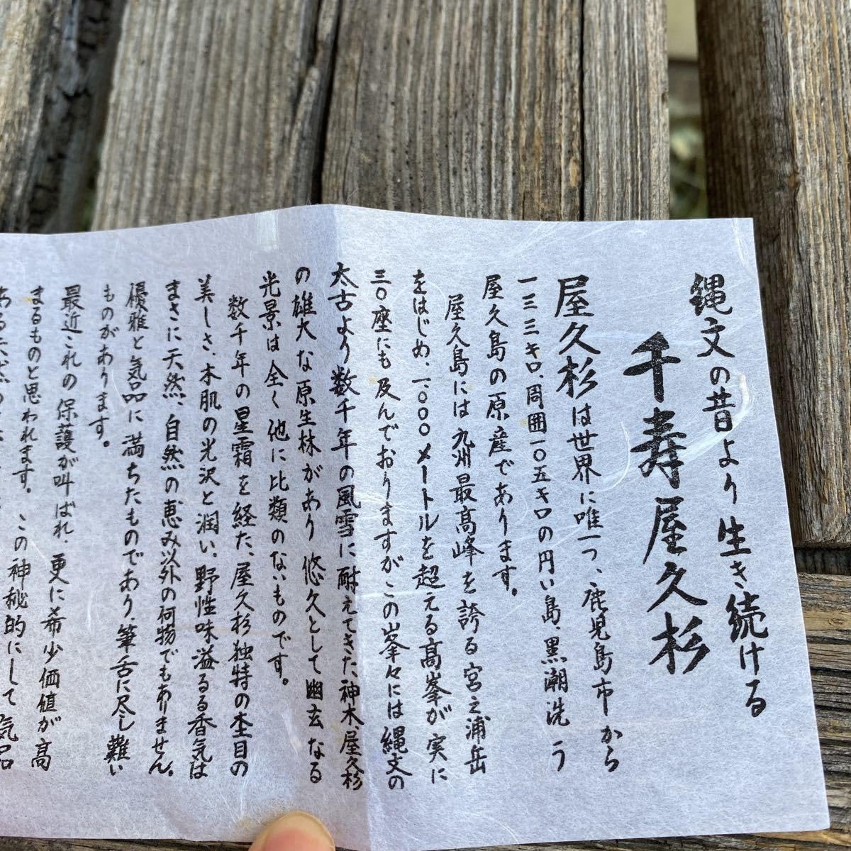 Amazon.co.jp: 品天然木製銘木千寿屋久杉茶托五客揃茶器和食器茶道具