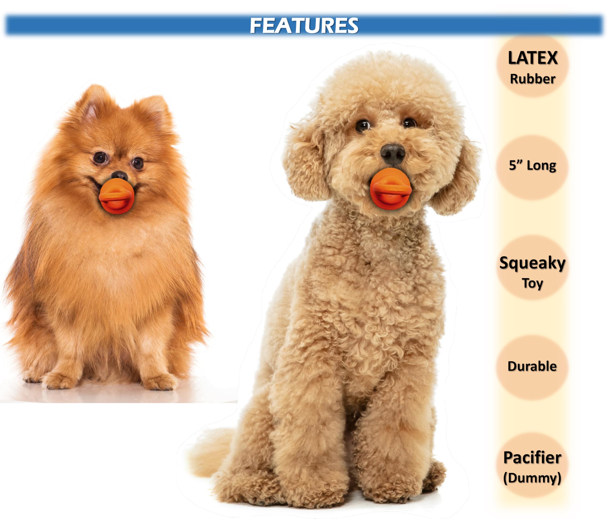 Petopedia 3x Puppy Toys Dogs Squeaky, LATEX Dummy, Rubber Soother Dog Chew Toy, Gifts & Presents for Puppies Teething - Image 3