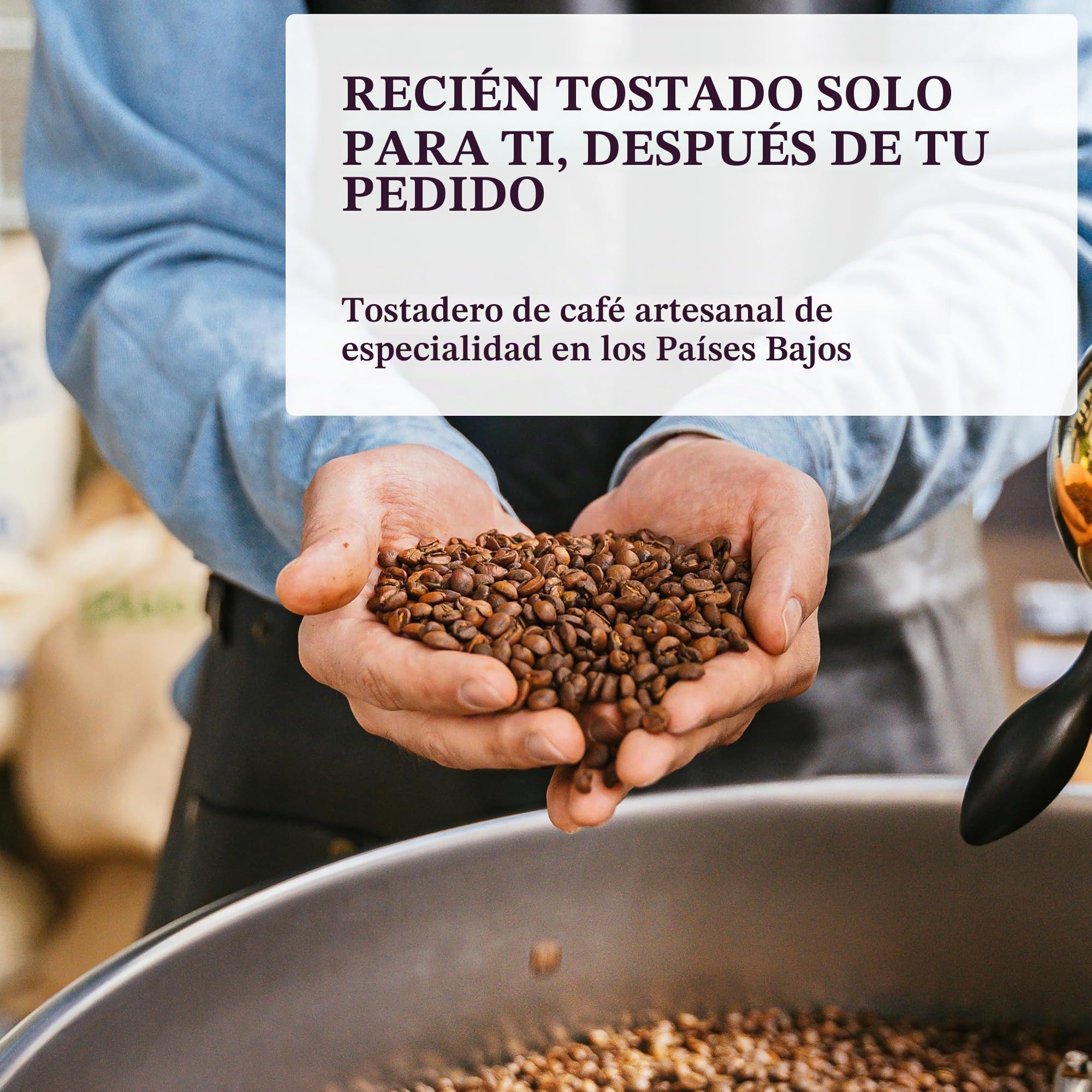 Freshest Specialty Coffee Beans | 80 CUP Roastery | Single Origin ~ Roasted After Order (1000g, Ethiopia Yirgacheffe)