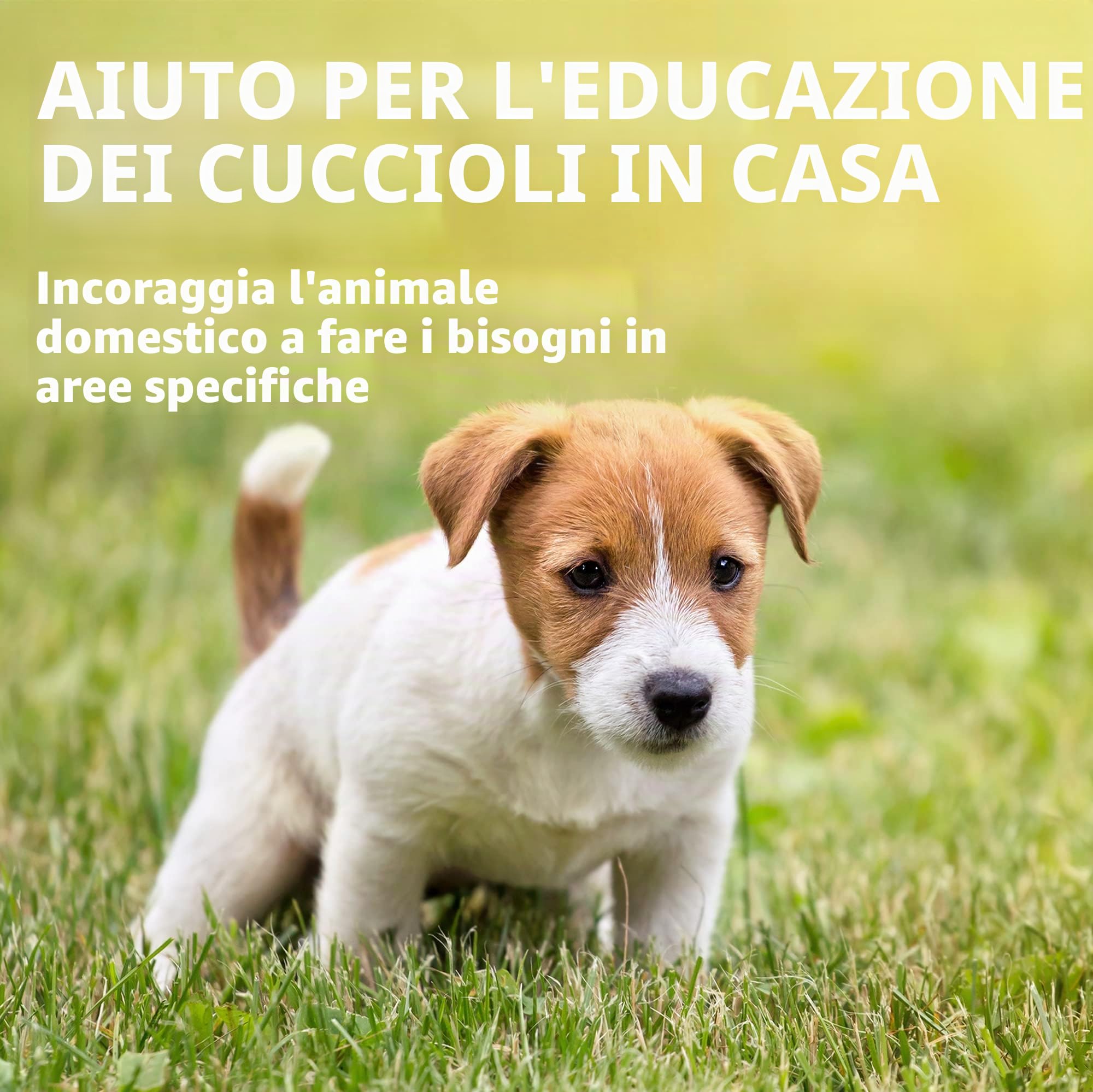 OUT! spray per l'addestramento di cani e cuccioli indoor e outdoor Aiuto alla formazione domestica - 500ml