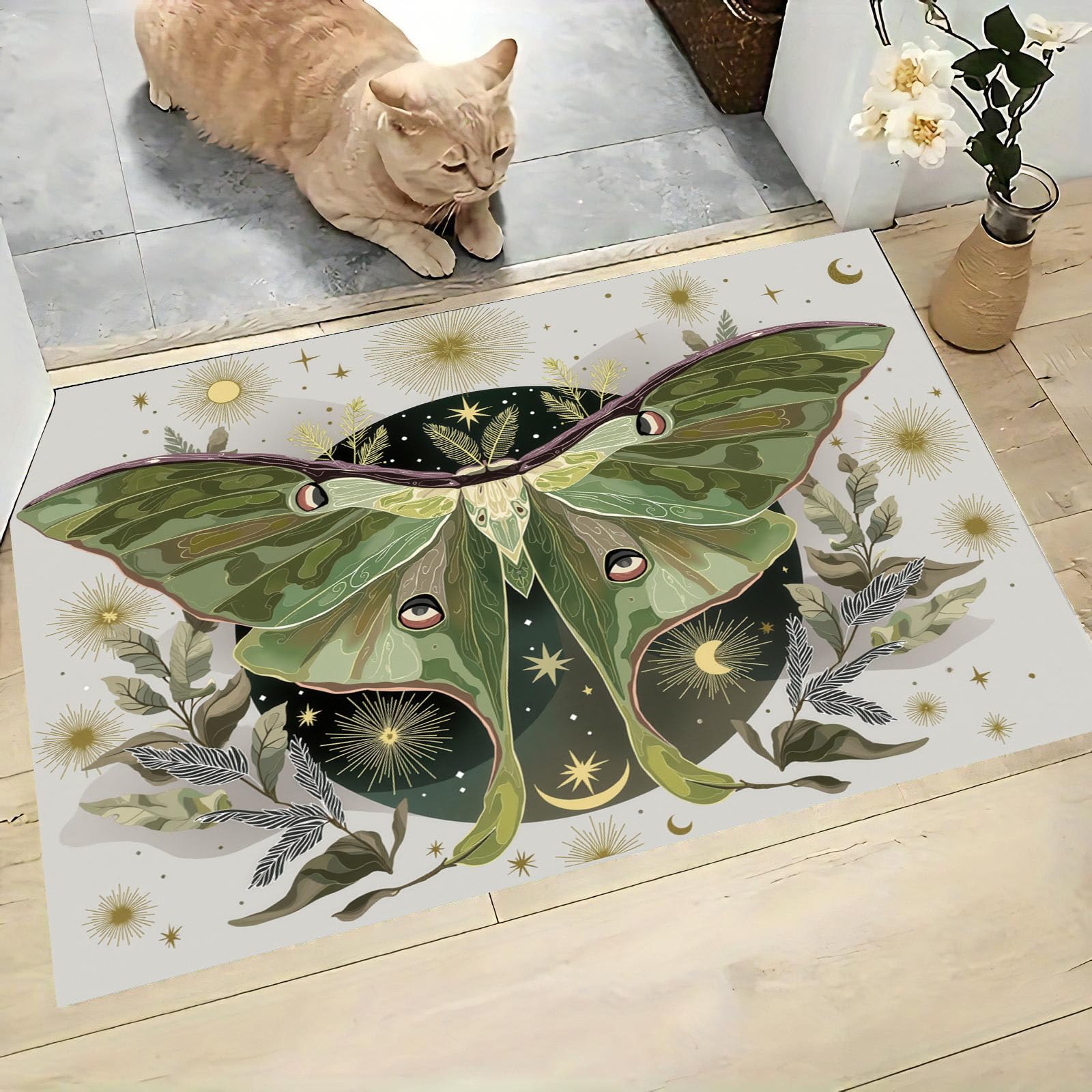 Tapis absorbant lavable pour entrée pour éliminer la boue des chiens