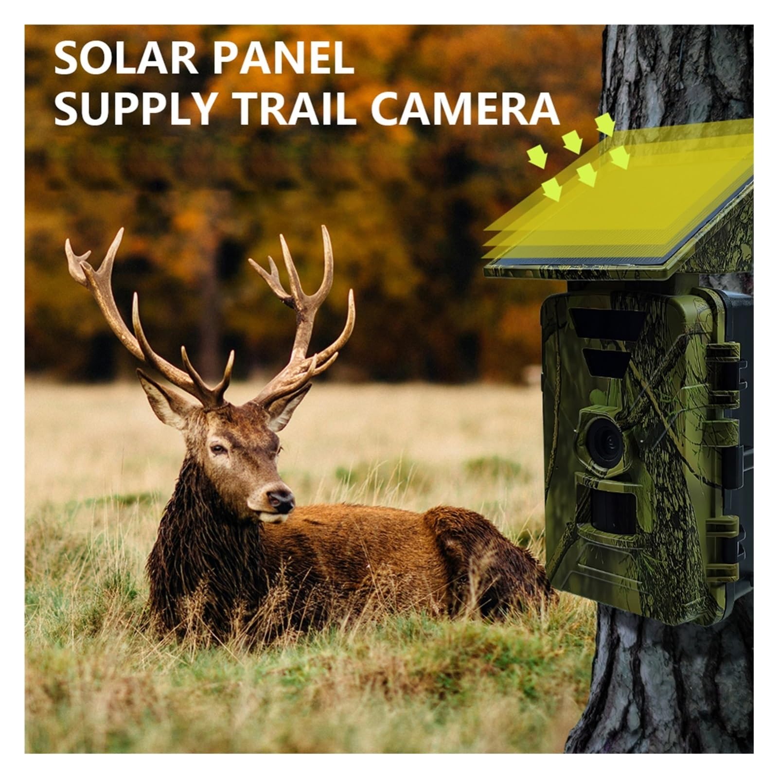 Cámara Vida Silvestre Cámara De Caza WiFi, Rastreo Solar 8K 60MP, Vida Silvestre IP66, Juego Visión Nocturna Exterior Impermeable Monitoreo Confiable Preciso