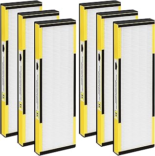 6 Packs H13 True HEPA Replacement Compatible with G-Guardian AC4825 AC4300 AC4800 AC4900 AC4850