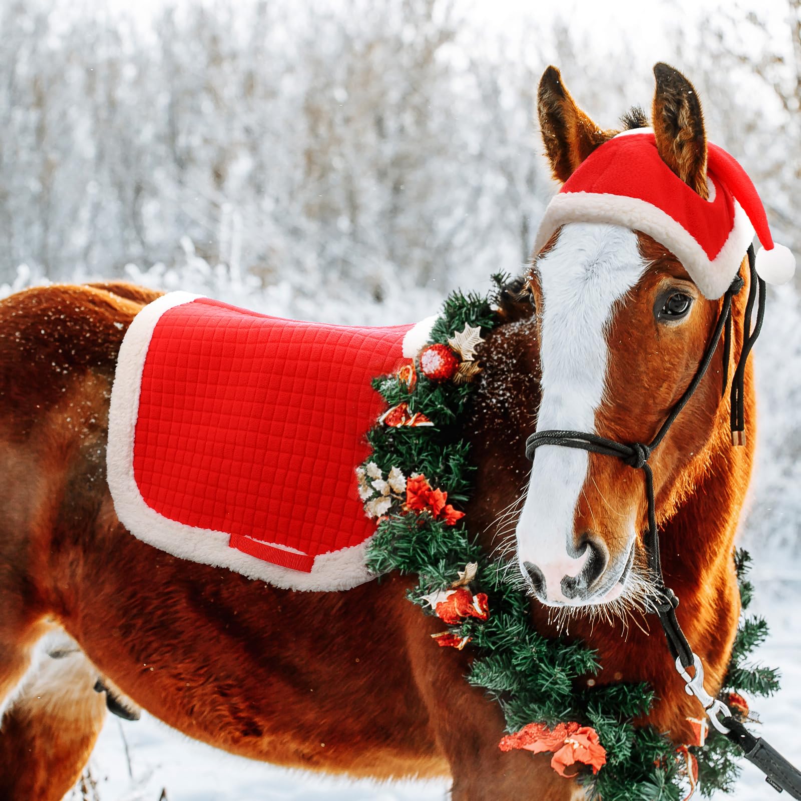 horse dress up christmas Abbylike 6 Pcs Costume Set, Red Santa Leg Wraps Saddle Pad Black Plus Soft Rib 5300MN. Size:Xsmall UK 6) size-age-4-5