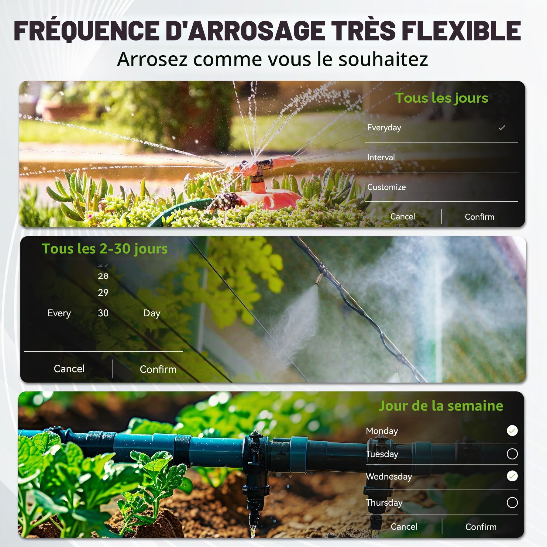 RAINPOINT Programmateur Arrosage WiFi 2 Sorties Laiton Automatique Jardin Application Commande Vocale