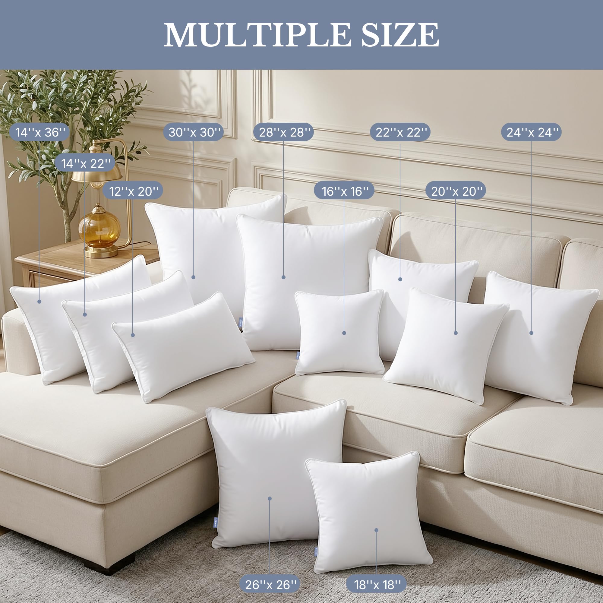 Amazon.com: Leeden 20 x 20 Pillow Inserts (Set of 2) - Throw