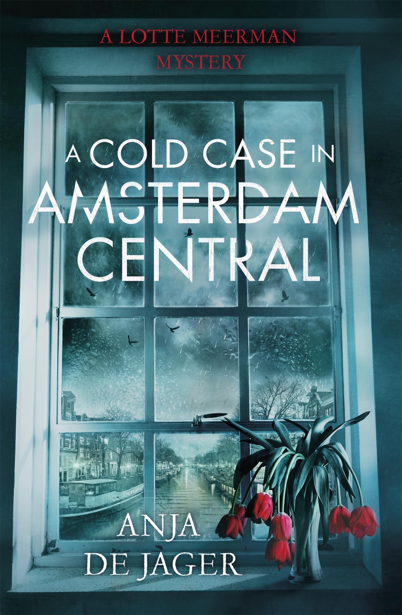 Buy A Cold Case In Amsterdam Central — BookShops.in
