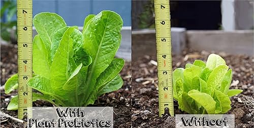 Miniatura 4 de Probióticos vegetales (bolsa de 2 onzas)