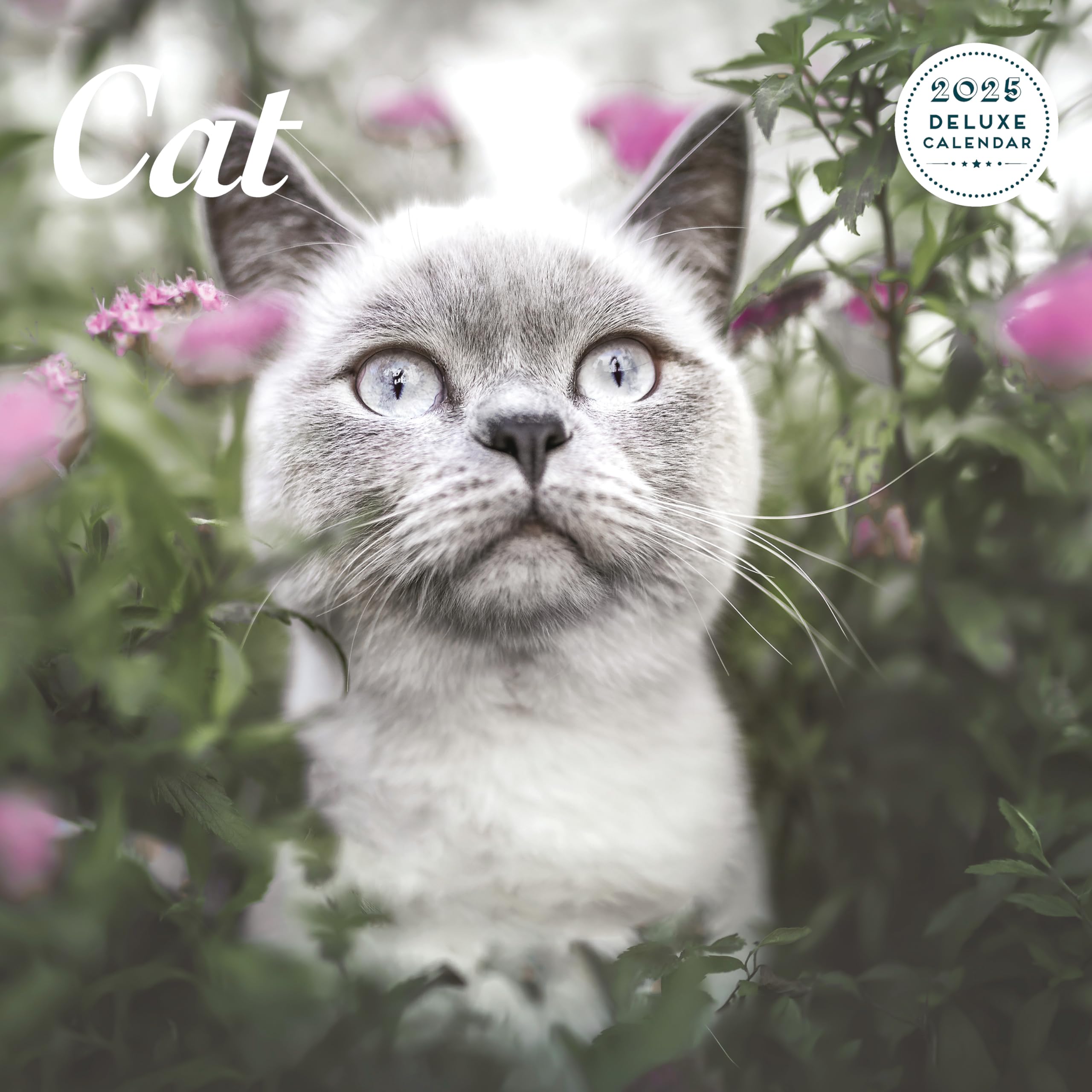 Cat 2025 Deluxe Calendar