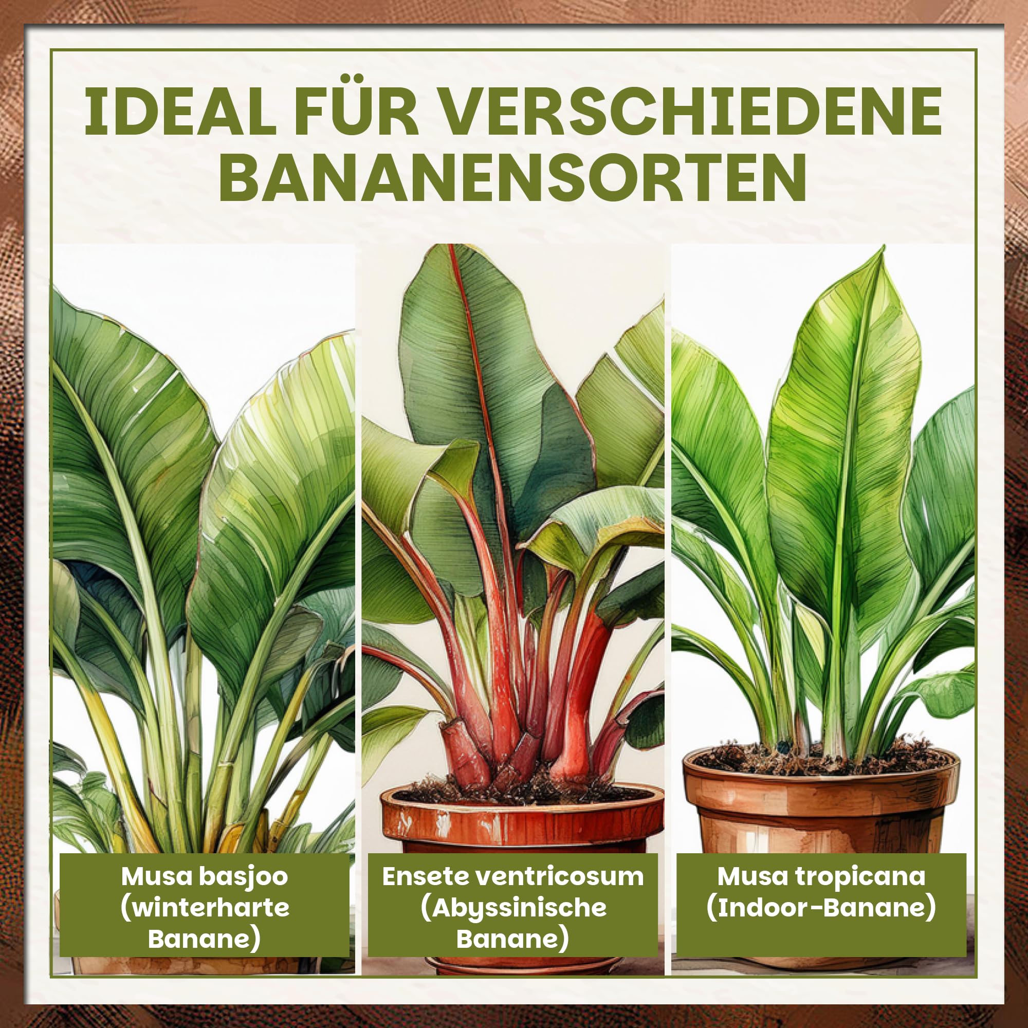 Green Home Bananenerde 72L - Erde für Bananen & Tropenpflanzen |Pflanzerde mit Langzeitdünger | Mit Perlite, Kokosfasern & Rindenhumus | Erde für Hochbeet, Kübel & Garten, pH 5,8