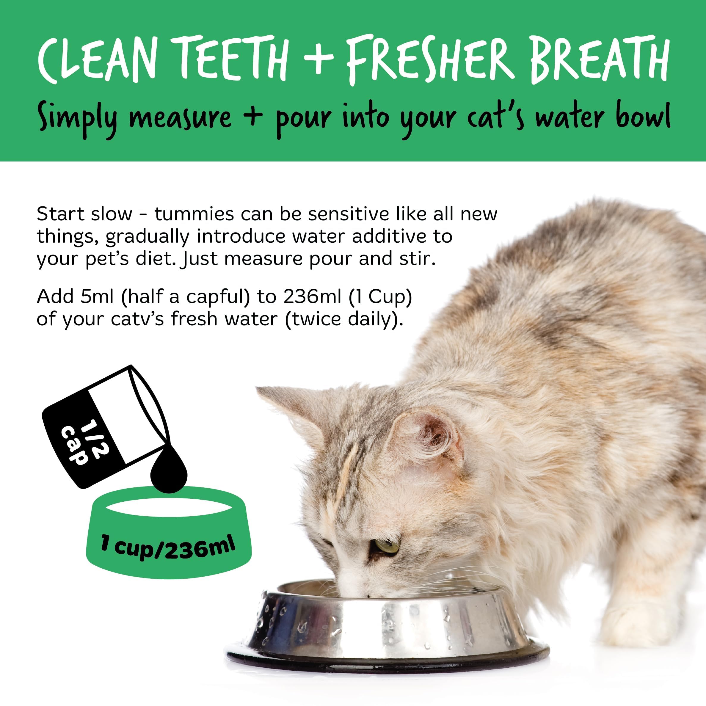 BUGALUGS Cat Breath Freshener Dental Care Water Additive. Clean Teeth, Healthy Gums & Fresh Breath - Image 4