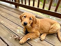 Review Image by Tyler Tyler